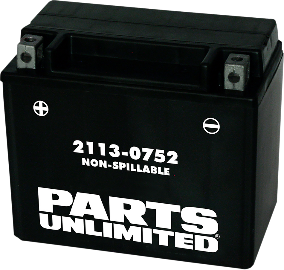 Parts Unlimited Agm Battery - Ytx12 Ctx12