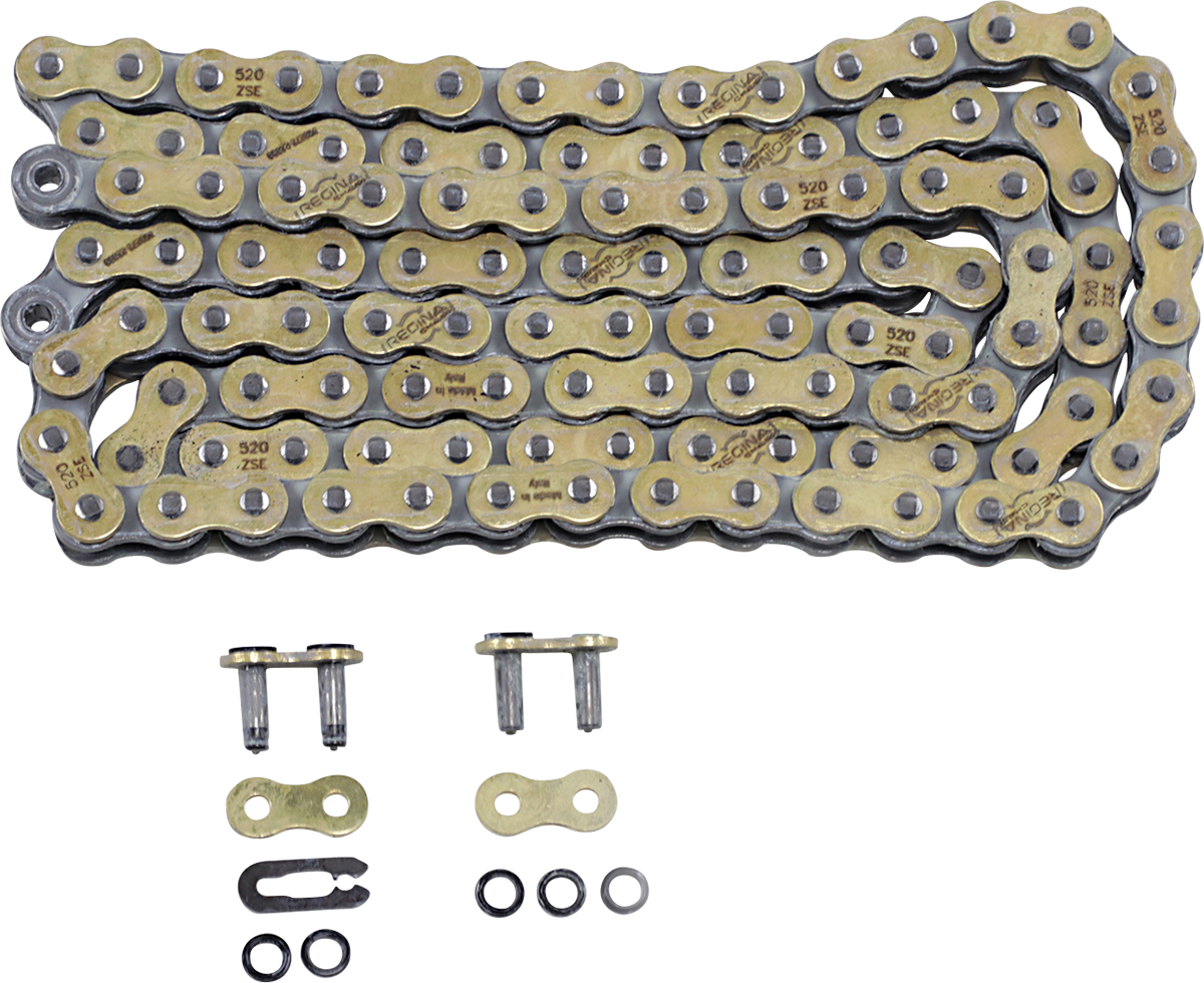 REGINA 520 ZSE - Drive Chain - 114 Links 135ZSE/1001