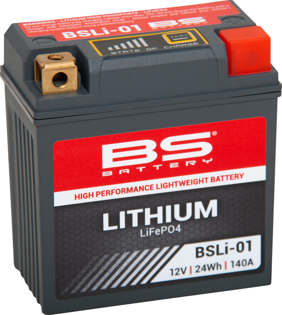 BS BATTERY Lithium Battery - BSLi-01 360101