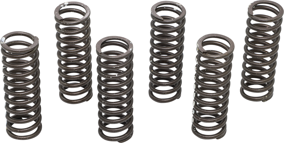 KG POWERSPORTS Clutch Spring Set KGS-714