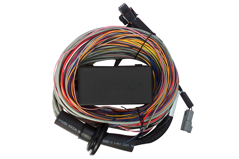 Haltech Elite 750 8ft Premium Universal Wire-In Harness HT-140604