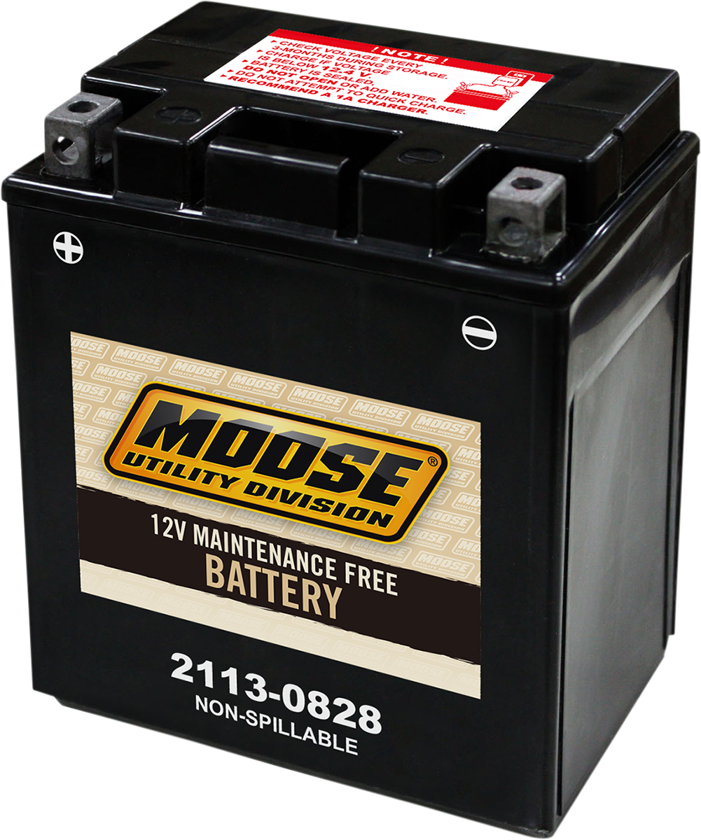 MOOSE UTILITY AGM Battery - CTX14AH CTX14AH (FA)