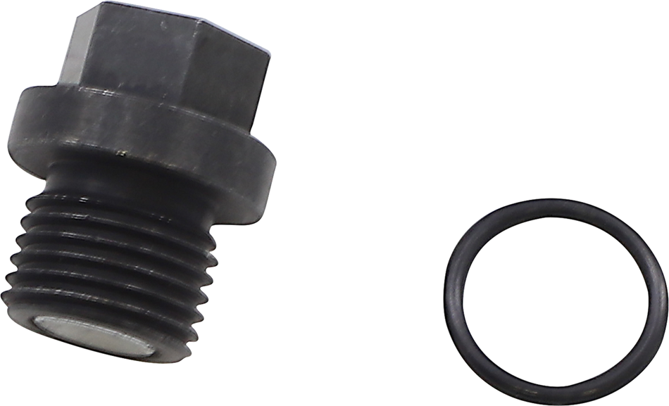 QUAD LOGIC Front Differential Drain Plug and O-Ring 100-2386