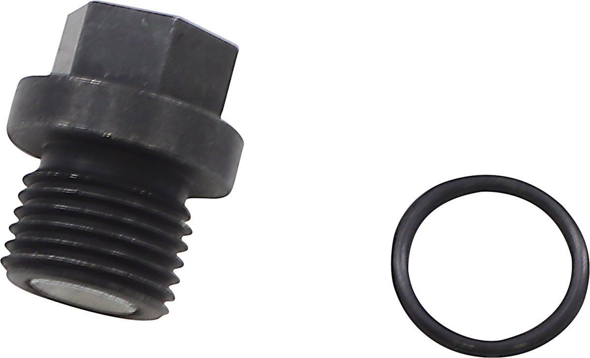 QUAD LOGIC Front Differential Drain Plug and O-Ring 100-2386