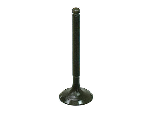 Bronco Products Intake Valve 127606