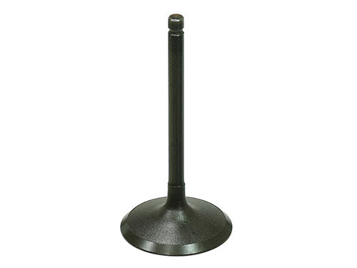 Bronco Products Intake Valve 127615