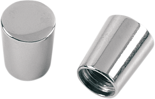 GARDNER-WESTCOTT Valve Stem Caps - Chrome P-31-99