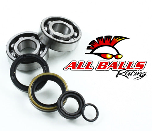 All Balls Racing Crank Bearing And Seal Kit 132522
