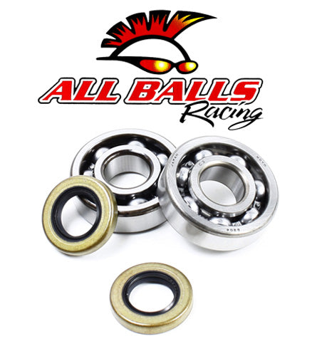All Balls Racing Crank Bearing And Seal Kit 132528