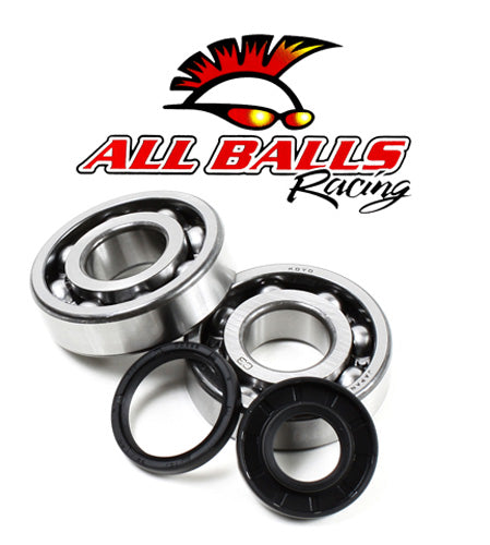 All Balls Racing Crank Bearing Kit 132538