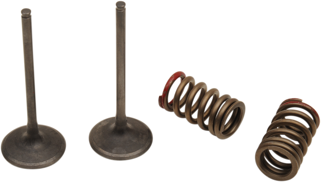 PROX Valve and Spring Kit 28.SIS4335-2