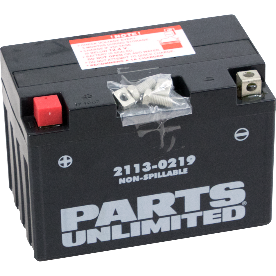 Parts Unlimited Agm Battery - Yt12a-Bs Ct12a-Bs