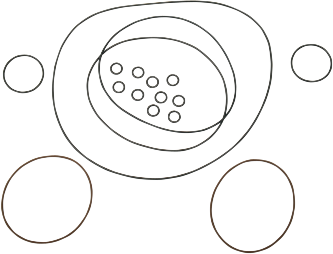 PRO DESIGN O-Ring Set - YFZ350 PD299