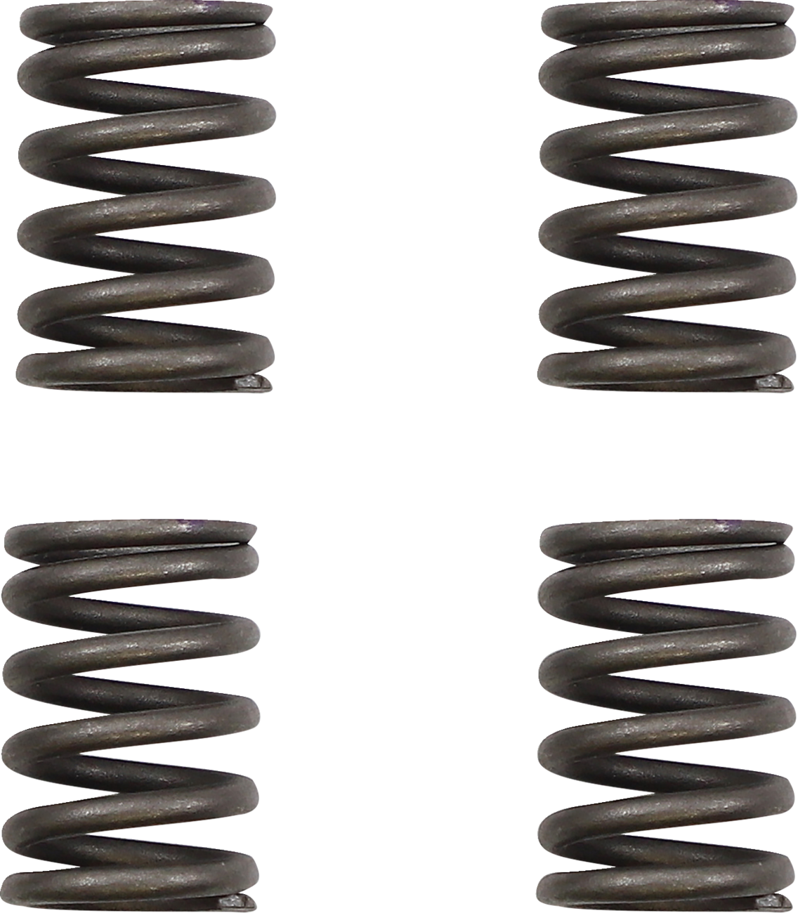 KG POWERSPORTS Clutch Spring Set KGS-039