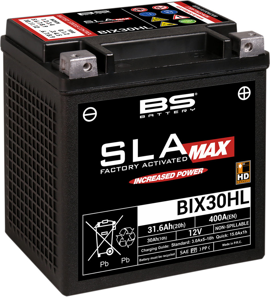 BS BATTERY SLA MAX Factory- Activated AGM Maintenance-Free Battery BIX30HL (YIX) 300884
