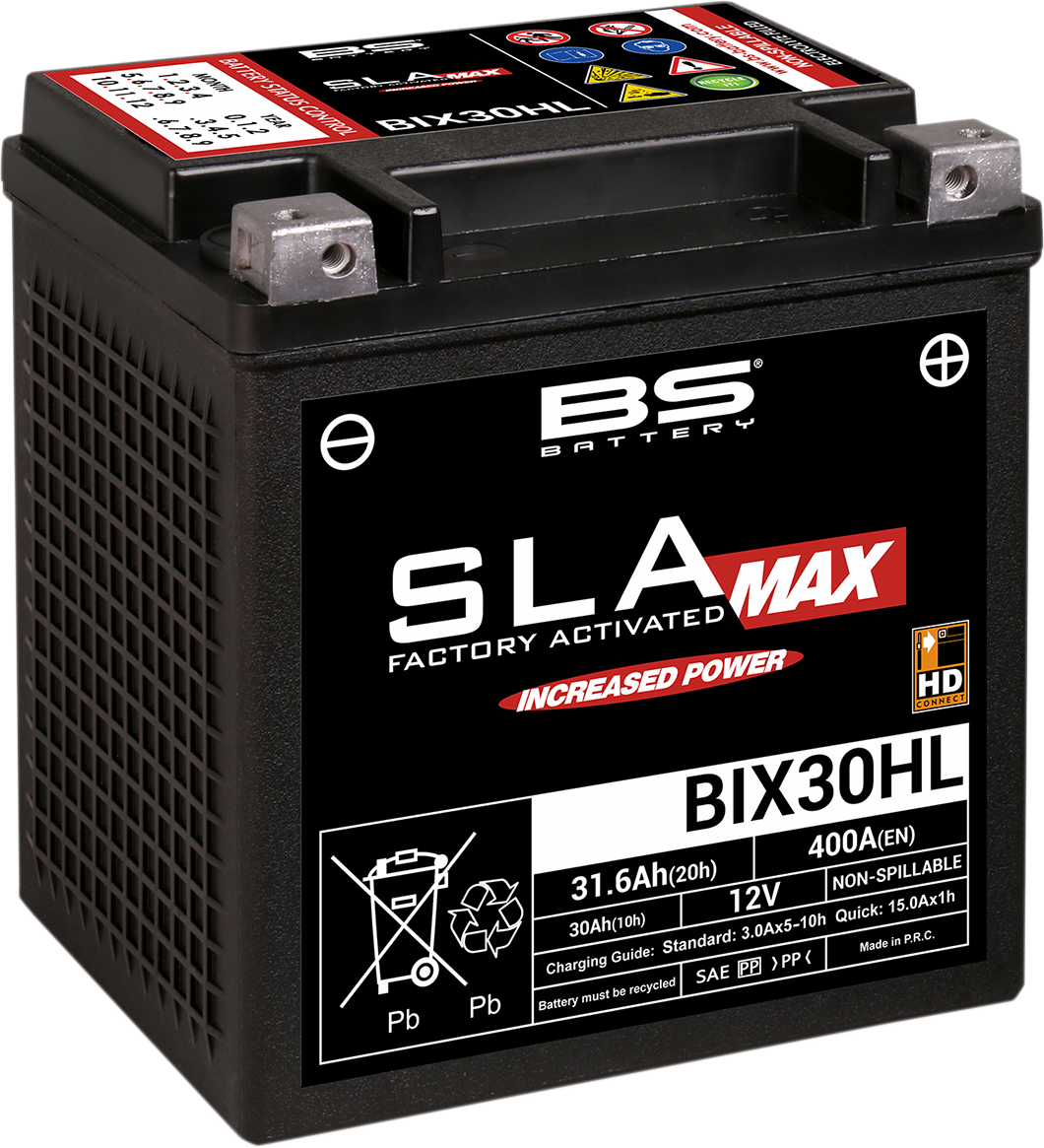 BS BATTERY SLA MAX Factory- Activated AGM Maintenance-Free Battery BIX30HL (YIX) 300884