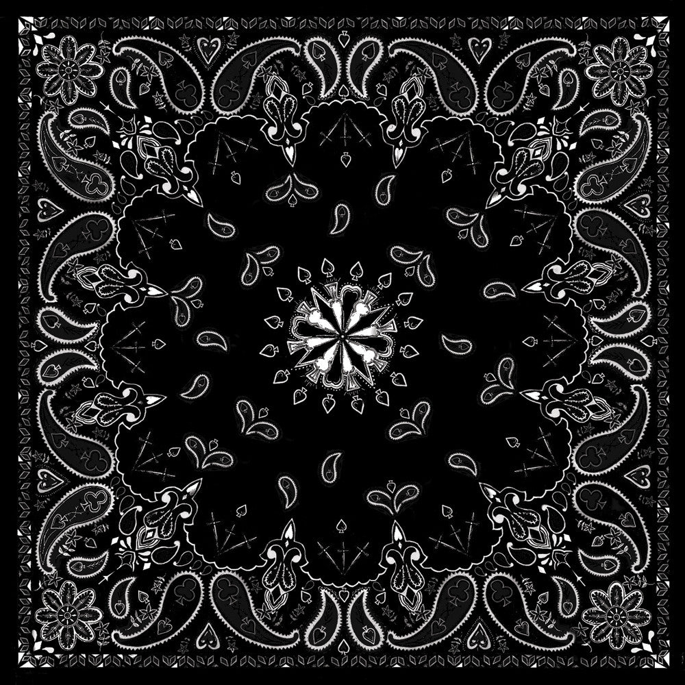 ZAN Bandanna Black Paisley B001