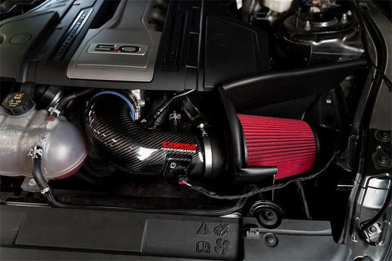 Corsa 2018+ Ford Mustang GT 5.0L V8 DryTech 3D Entrada de aire de fibra de carbono con elemento abierto - Negro