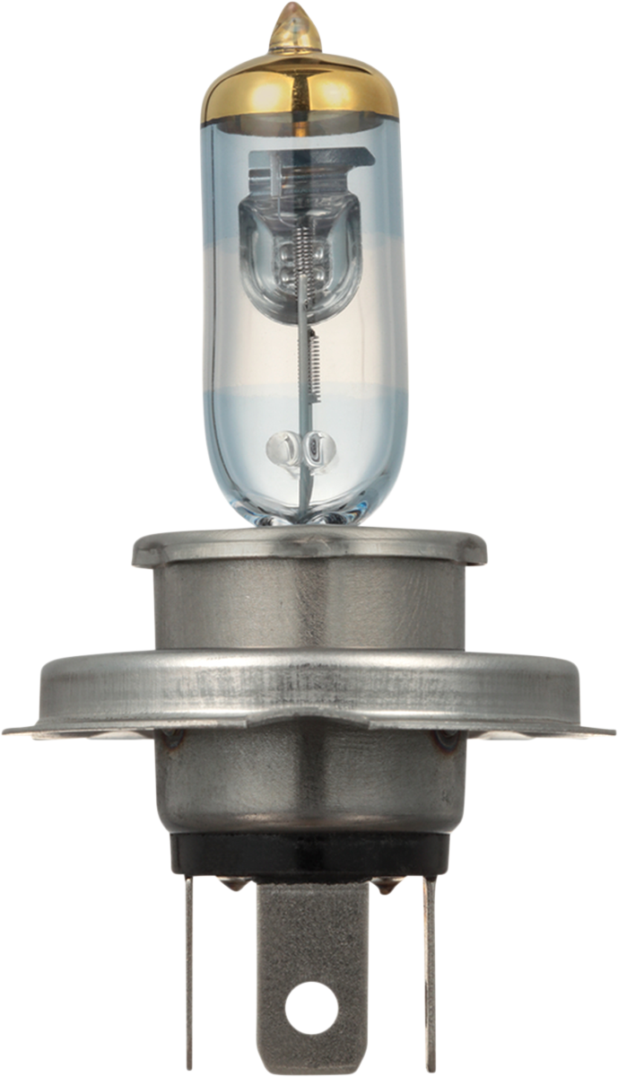 EIKO Headlight Bulb - PVG H4/HB2 - 55/60W 9003PVG-BPP