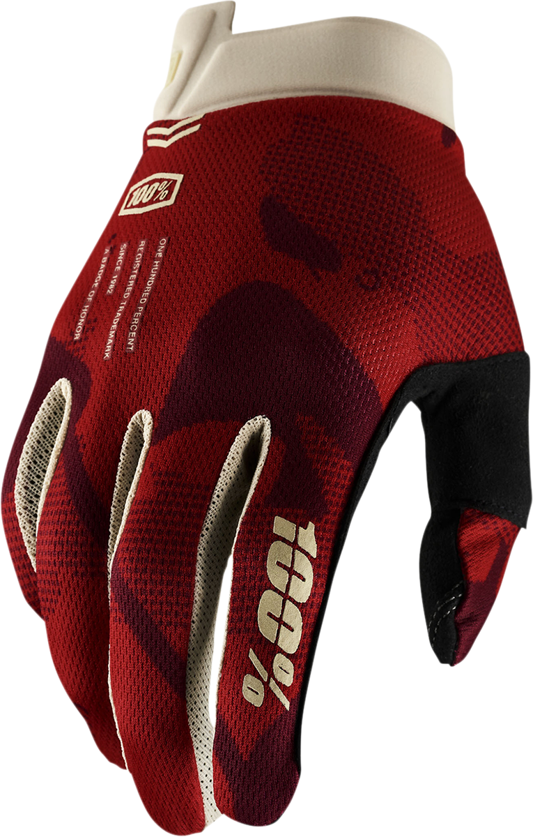 100% iTrack Gloves - Terra - XL 10008-00028