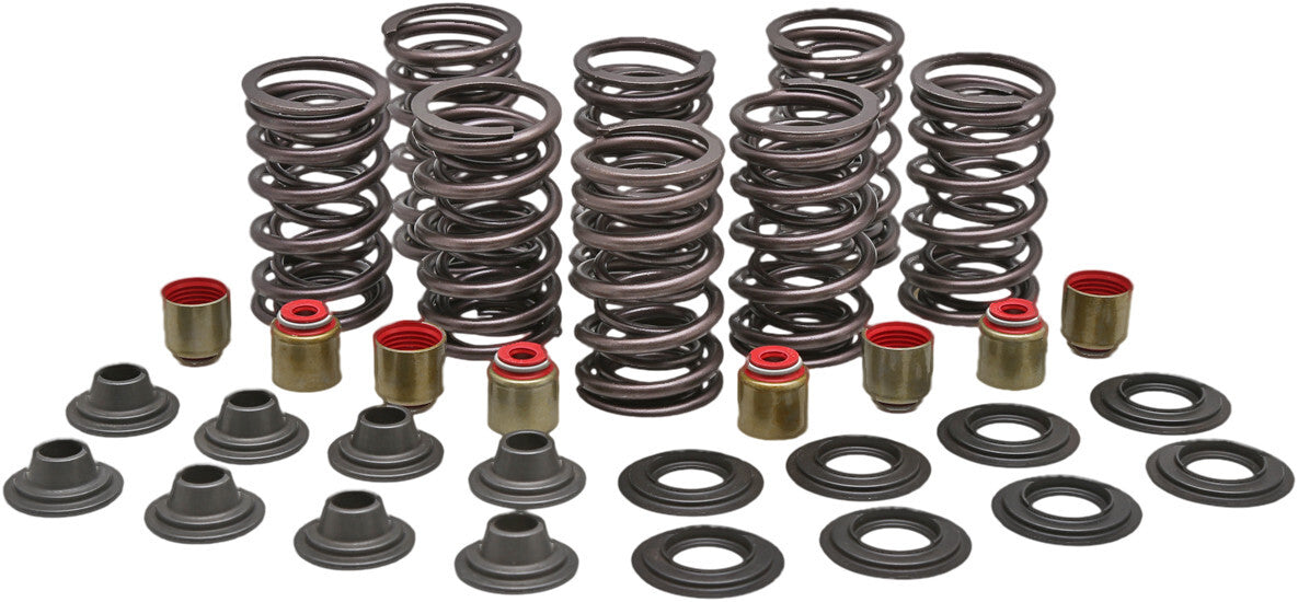 KPMIRacing Valve Spring Kit82-83450