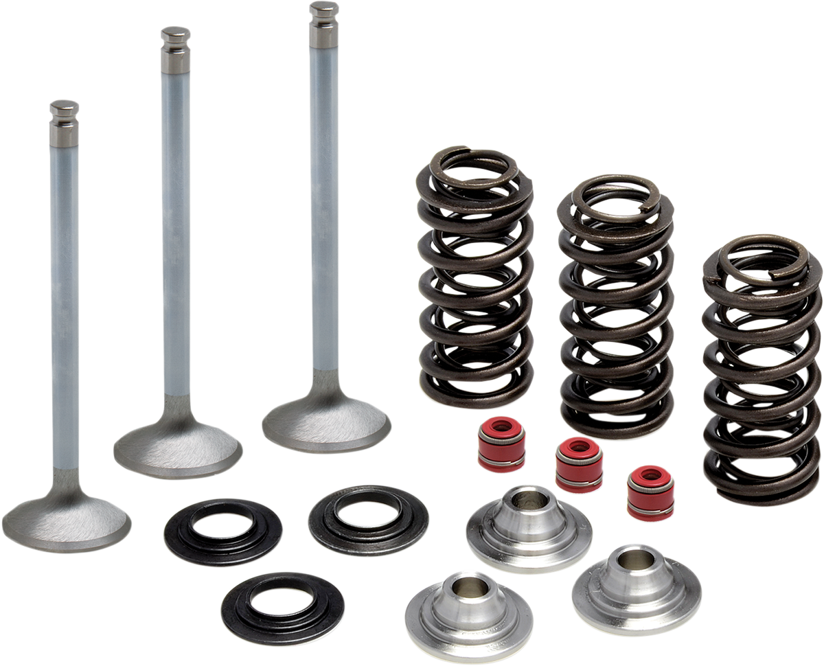 KIBBLEWHITE Valve Spring Kit 80-80950