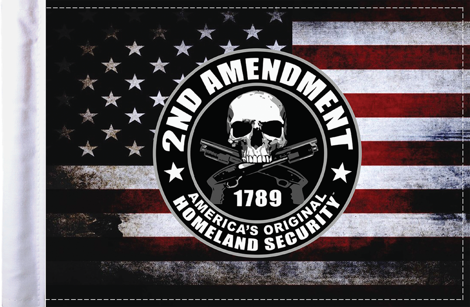 PRO PAD 2nd Amendment Homeland Security Flag - 6" x 9" FLG-HS2AMND