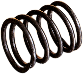 WSM Rotary Valve Spring 010-453