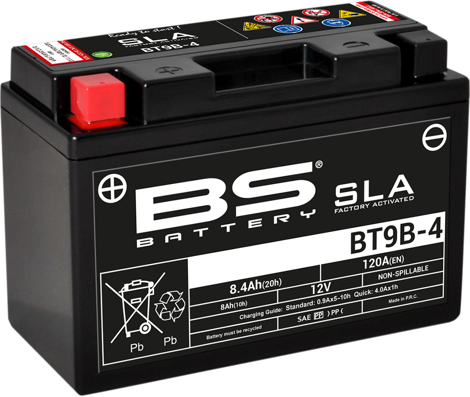 BS BATTERY Battery - BT9B-4 (YT) 300642