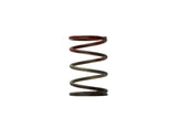 Turbosmart WG40 11PSI Middle Spring Brown/Red TS-0505-2004