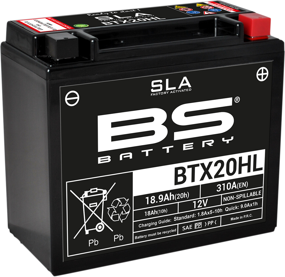 BS BATTERY Battery - BTX20HL (YTX) 300689