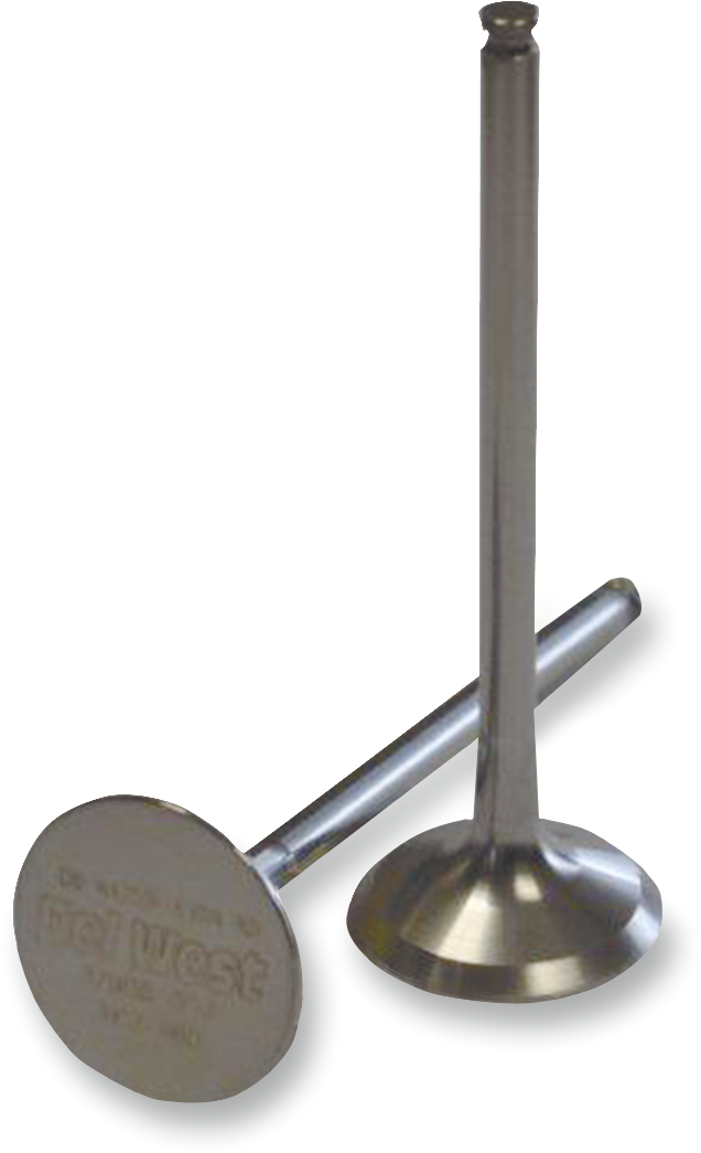 DEL WEST Intake Valve DW450RIV09ND