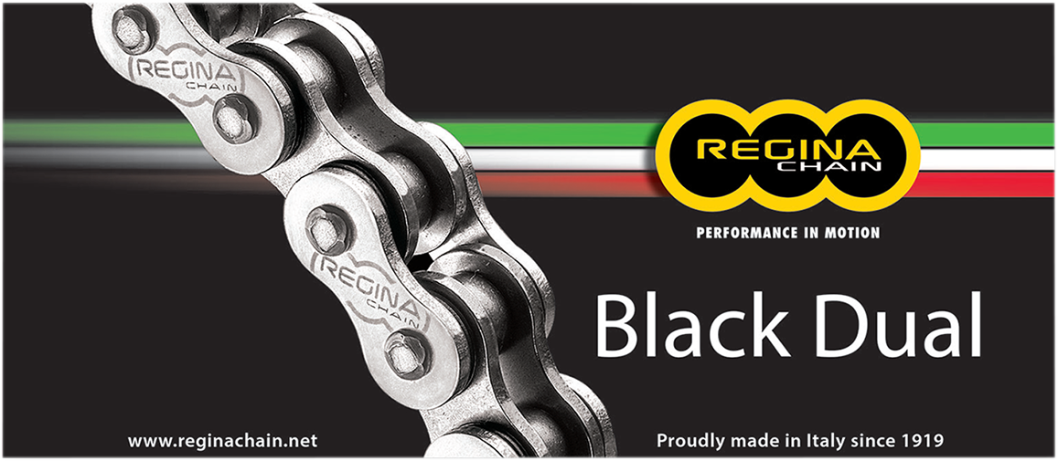 REGINA 525 ZRA - Series Chain - 124 Links 137ZRA/1000