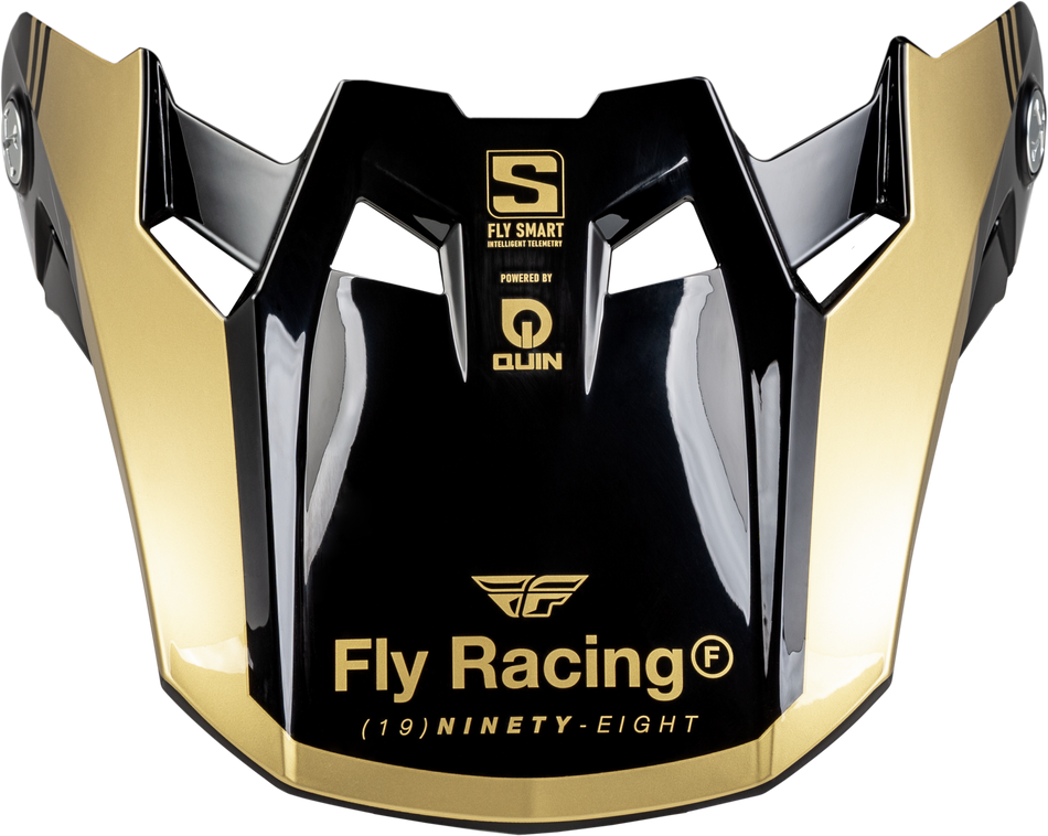 FLY RACING Formula S Carbon Legacy Visor Black/Gold Md/Lg 73-4453