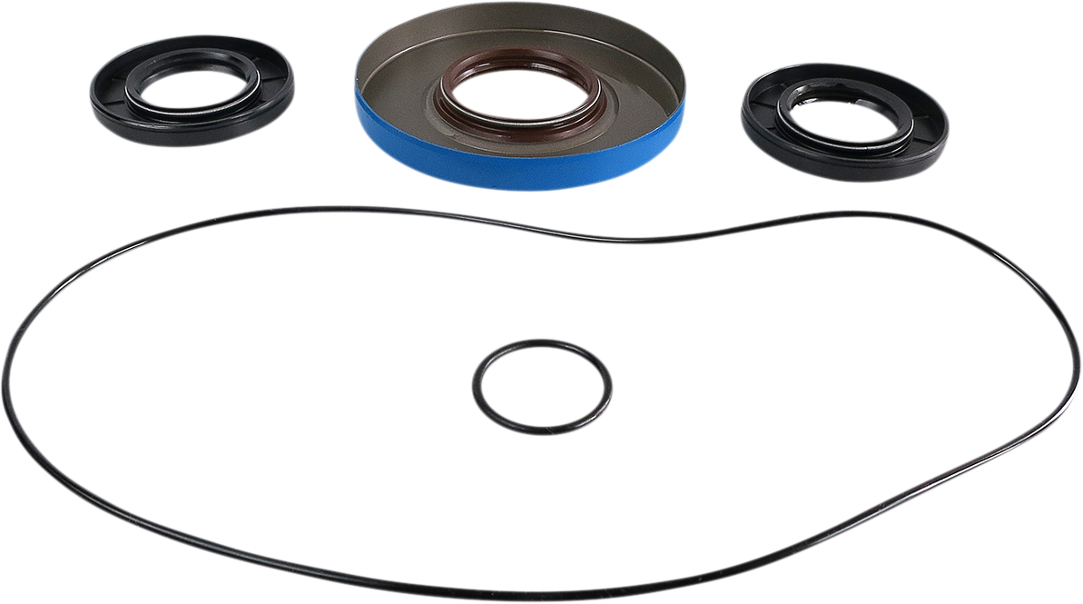 EPI Differentialdichtungssatz - Hinten WE290116 