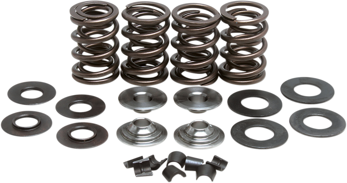 KIBBLEWHITE Valve Spring Kit 60-60120