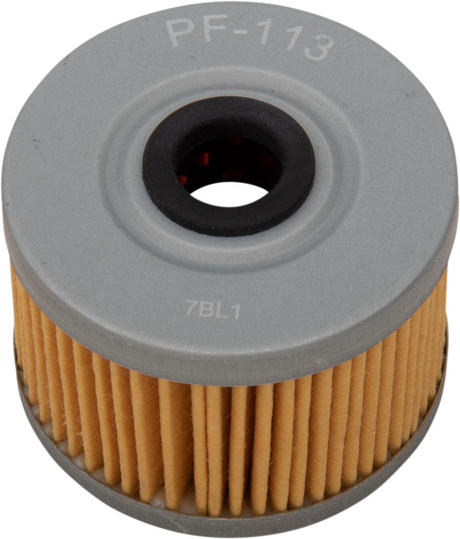PRO FILTER Replacement Oil Filter PF-113