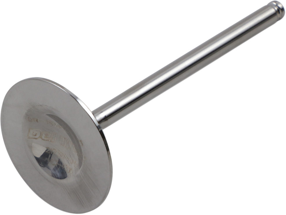 DEL WEST Intake Valve DW-TRX450R-IV05