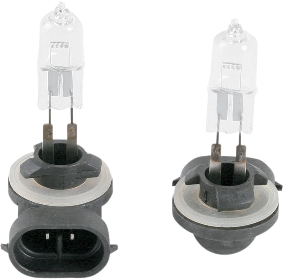 BRITE-LITES Bulb - PJ13 Clear - 50 W - Pair BL-13C502