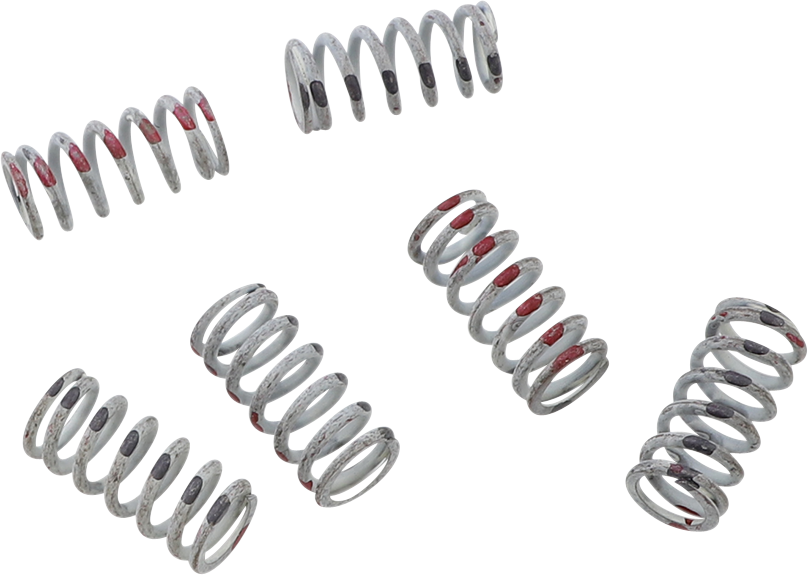 KG POWERSPORTS Clutch Spring Set KGS-008