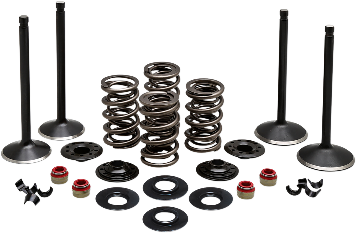 KIBBLEWHITE Complete Valve Kit - Evolution 20-22650