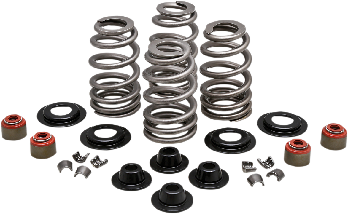 KIBBLEWHITE Spring Kit - .610" - Twin Cam 20-21400