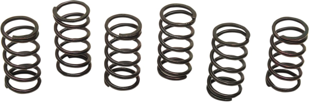 BARNETT Clutch Springs 501-29-06051