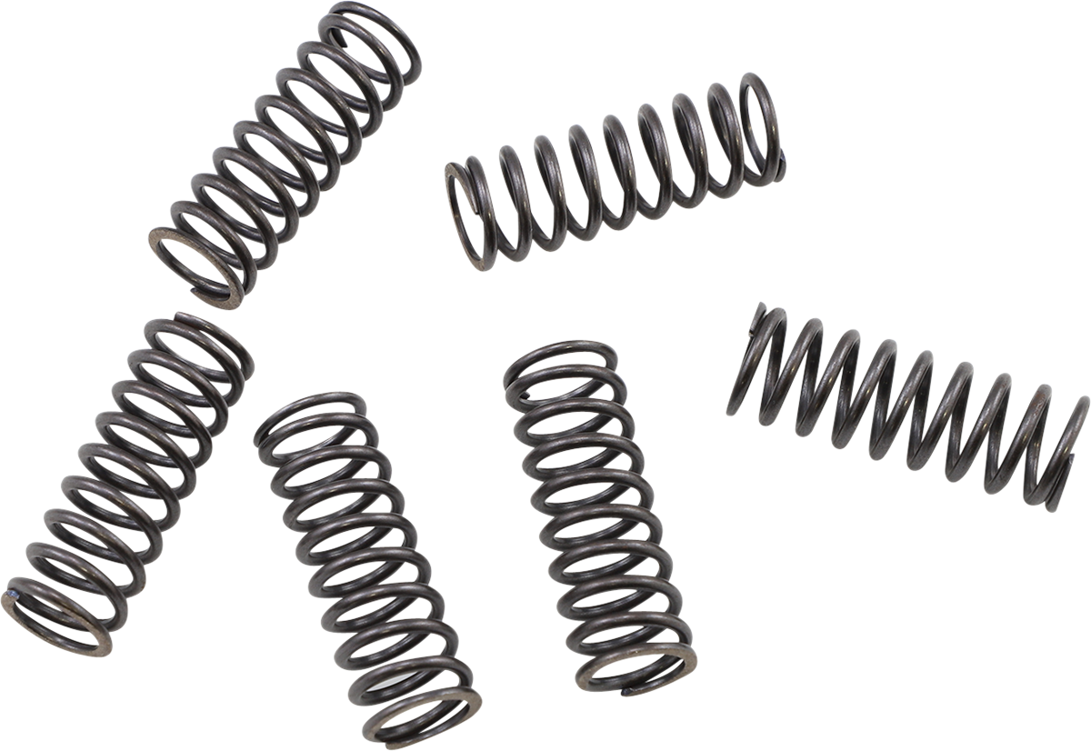 KG POWERSPORTS Clutch Spring Set KGS-806