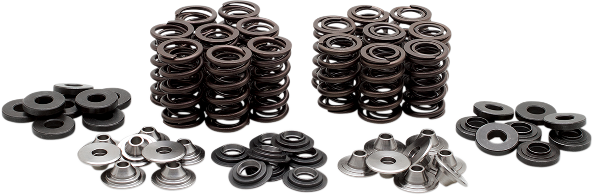 KIBBLEWHITE Valve Spring Kit 40-40850