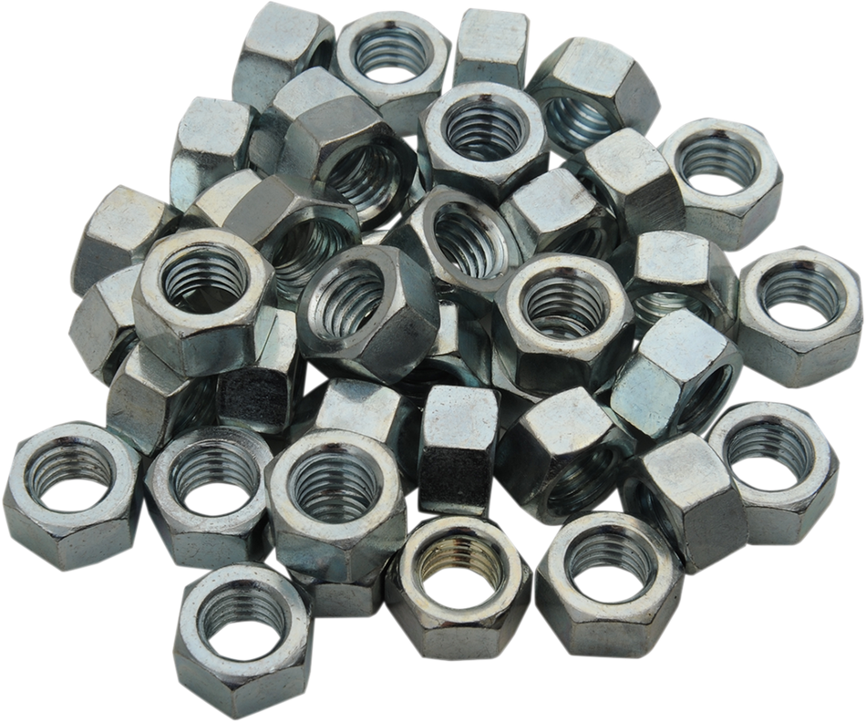 SNO STUFF Replacement Wear Bar Nuts - 3/8" SAE - 40 Pack 513-375