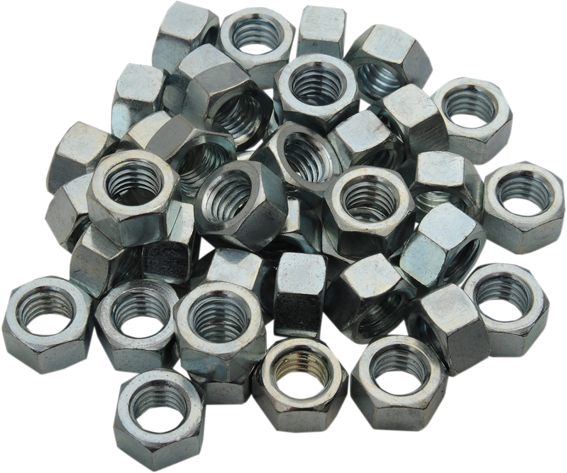 SNO STUFF Replacement Wear Bar Nuts - 3/8" SAE - 40 Pack 513-375