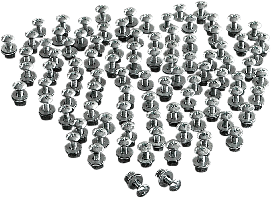 CHRIS PRODUCTS License Plate Bolts - 100PK CHB100