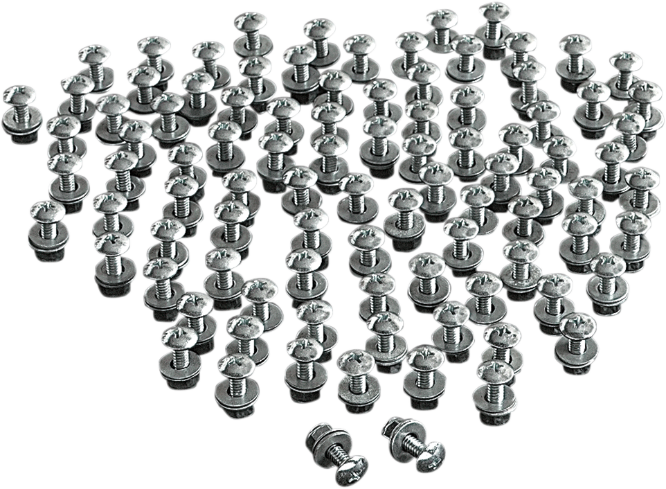 CHRIS PRODUCTS License Plate Bolts - 100PK CHB100