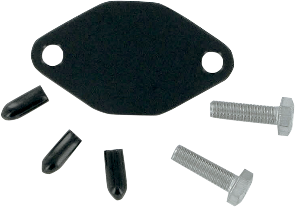 WSM Oil Injection Block Off Plate 011-206